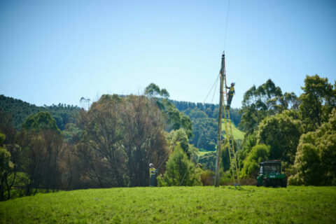 Major maintenance completed on west VIC electricity network