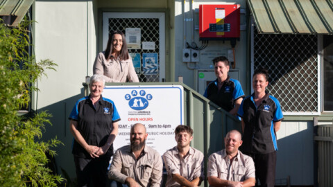 Risen, GoodWe and One Stop Warehouse contribute to WA animal shelter