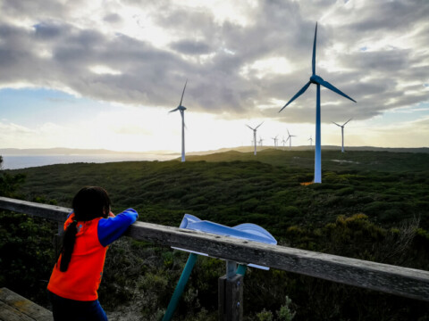 Wind and solar power predicted by AI tech