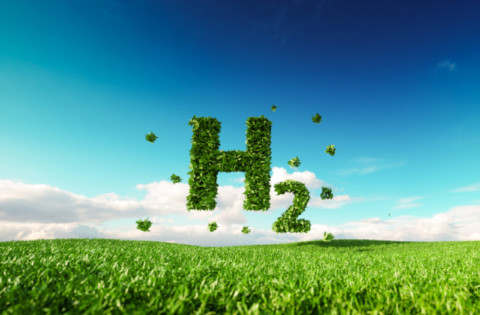 Queensland’s hydrogen plan impresses JOGMEC