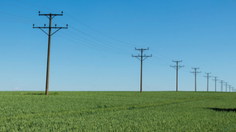 Important energy development for farmers