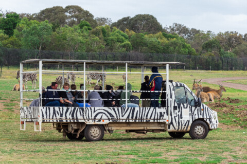 Renewable energy milestone for Zoos Victoria