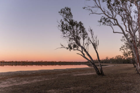 QLD announces $192.5m for Wambo wind farm