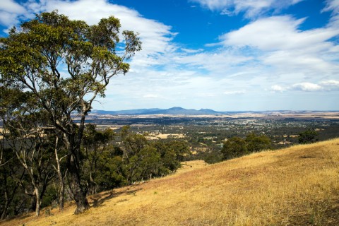 Ararat bushfire safety device granted final approval