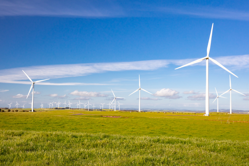 wind farm