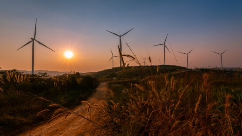 AEMO outlines West Murray zone challenges