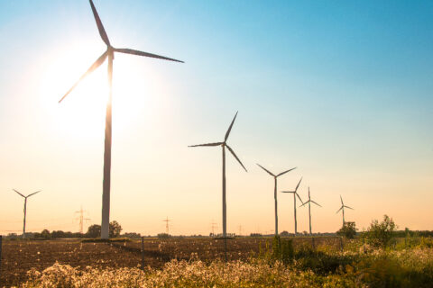 VIC wind farm operator, RMIT develop entrepreneurship program