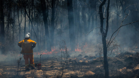 Energy retailers pitch in for bushfire victims