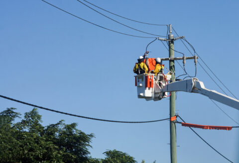 Jemena program targets electricity network resilience