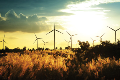 Broadening the scope for innovative energy