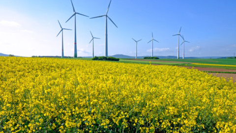 Construction begins on Australia’s largest wind farm