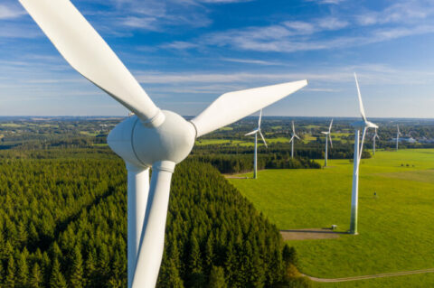 ROI open for Tasmania renewable energy industry