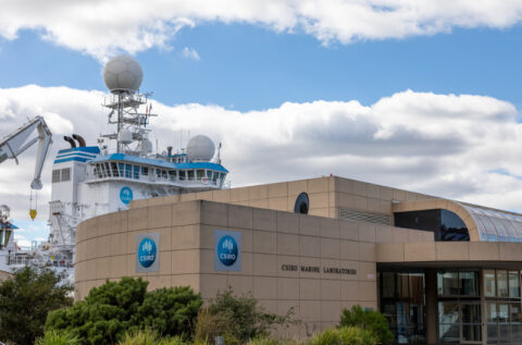 CSIRO names new Energy Director