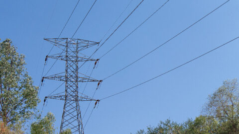 Powerline bushfire safety trial for Macedon Ranges