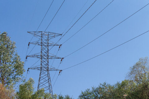 Powerline bushfire safety trial for Macedon Ranges