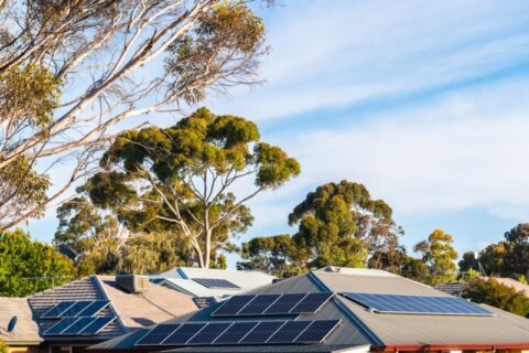 The flexible electricity system of the future