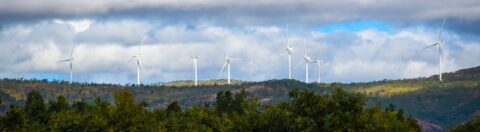 QLD review of Wind Farm Code for development