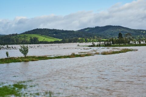 Tackling water quality challenges that come with extreme weather