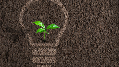 More energy programs for Latrobe Valley
