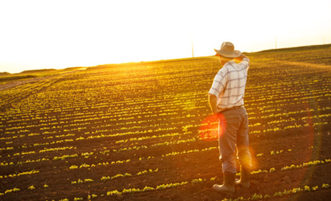 Latrobe Valley farmers to benefit from blockchain technology