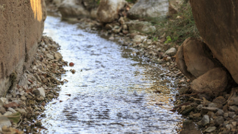 Protecting Hunter water resources