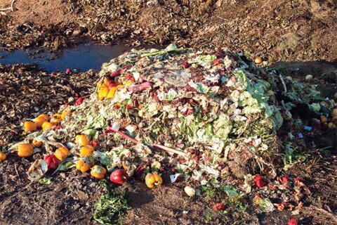 Turning leftover food and grease into power