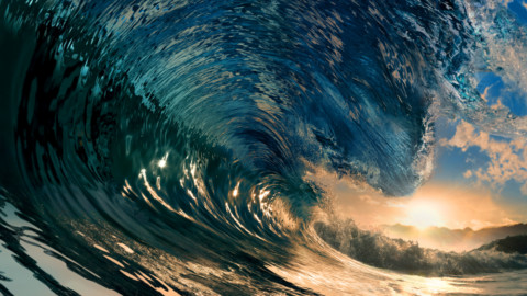 Albany to become wave energy technology hub