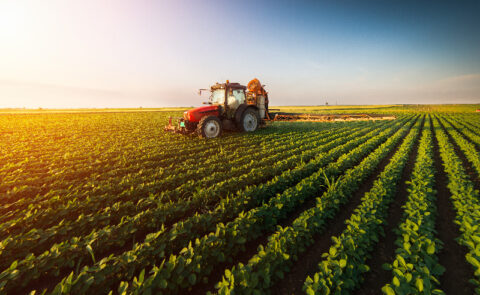 New guide to help farmers save energy