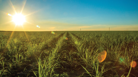 Australia’s forgotten fuel source