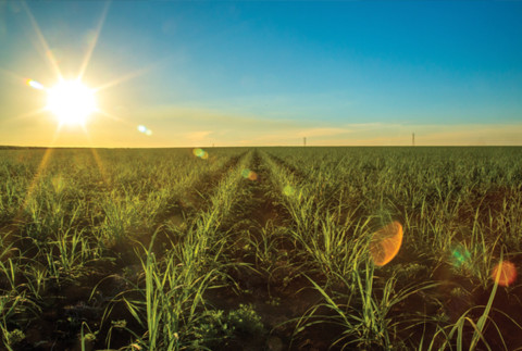 Australia’s forgotten fuel source