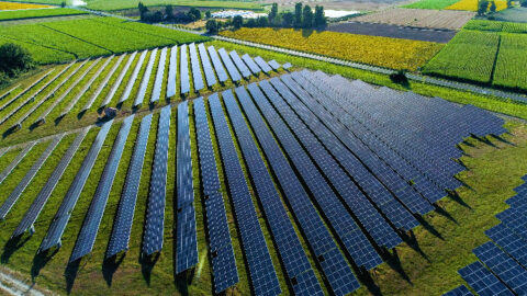 $14 million for innovative scale solar array