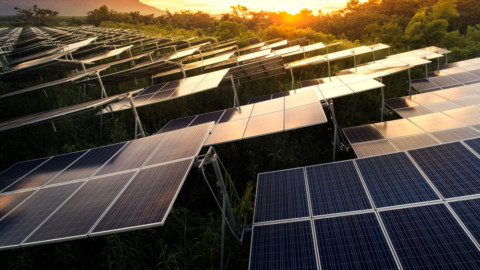 Largest solar farm approved for Tasmania