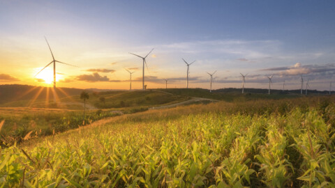 QLD’s Boulder Creek Wind Farm gets the go-ahead