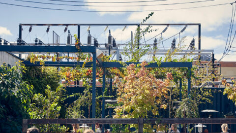 SA Power Networks unveils first-ever sustainability report