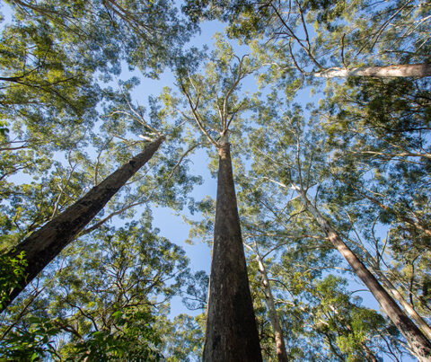 NSW EPA releases draft of climate change plan