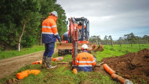 Powerlines undergrounded on Mornington Peninsula