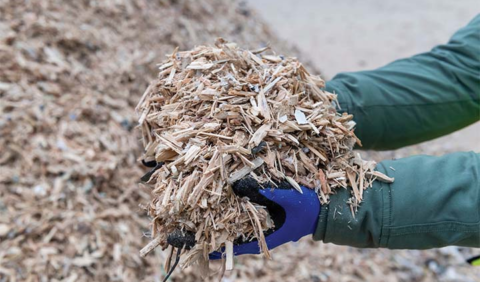 Bioenergy investment to support Australia’s path to net zero