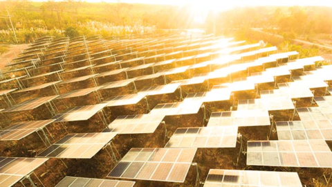 Economics prove renewables are the future of energy generation